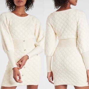 NWT Express Sweater Dress